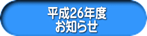 26Nx m点 